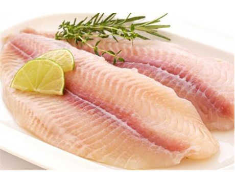 Sea Food Suppliers in Chennai